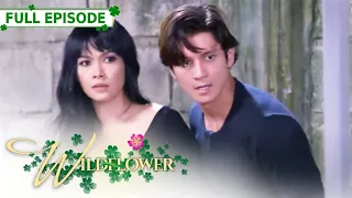 [ENG SUB] Ep 222 | Wildflower | Maja Salvador, Tirso Cruz III, Aiko Melendez