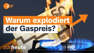 So kommt der Gaspreis zustande  | ZDFheute ERKLÄRT