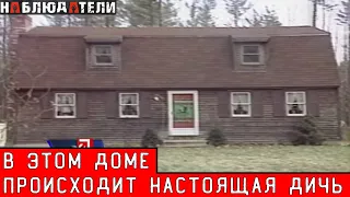 Тут полно мистики. Думал такое бывает только в кино.