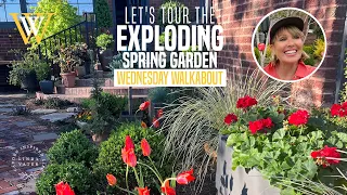 Let's Tour the Exploding Spring Garden