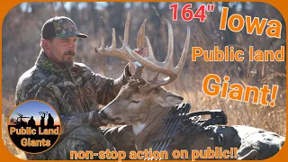 2022  164" PUBLIC LAND IOWA GIANT! BUCKS FIGHTING! BUCKS BREEDING! MULTIPLE BIG BUCK ENCOUNTERS!