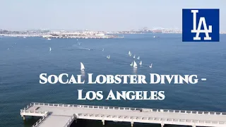 Socal | California Lobster Diving  -  LA -   Long Beach