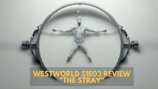 Westworld S1E03 Review - "The Stray"
