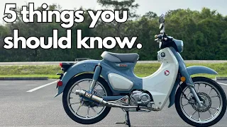 2024 Super Cub - What you should know before you buy NEW!