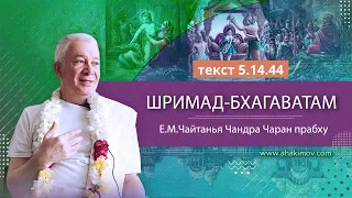 ЗАПИСЬ 13/12/2021 «Шримад-Бхагаватам» 5.14.44. Е.М. Чайтанья Чандра Чаран прабху. Алматы