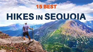 Top 15 Hikes In Sequoia National Park, California