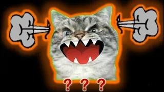 10 "ANGRY CAT" Sound Variations in 36 Seconds