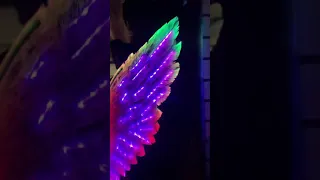 What do you think about this Infinity Mirror Art piece of an Angel Wing by Nicky Alice?