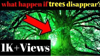 what happen if trees disappear🌳🌳