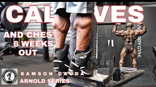 Arnold 2024 series | Calves & chest workout 6 weeks out  plus Q&A | Samson Dauda