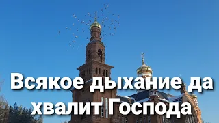 Паломники Среднеуральского женского монастыря: Нам открылось чудо покаяния