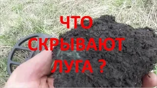 Коп 2019. Что скрывают луга?