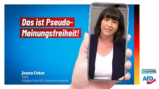 Das ist Pseudo-Meinungsfreiheit!