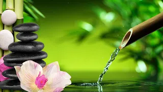 Relaxing Bamboo Music, Meditation Music, Nature Sounds, Relaxing Piano Music & Water Sounds, Calming