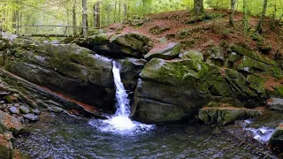 ЛУМШОРЫ. ЗАКАРПАТЬЕ. РЕКА ТУРИЧКА. ВОДОПАД ДАВИР (Lumshory. Zakarpattya Region of Ukraine)