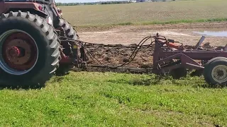 ih 1486 plowing