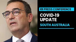 IN FULL: South Australia records zero new local cases of COVID-19 | ABC News