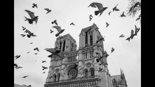 Hommage à Notre-Dame de Paris (Avril 2019)