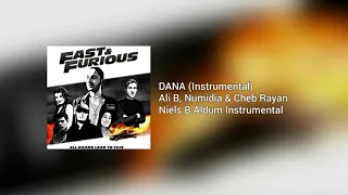 DANA - Ali B, Numidia & Cheb Rayan (Instrumental) NIELS B ALDUM INSTRUMENTAL