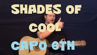 Shades of Cool (Lana Del Rey) Easy Guitar Lesson How to Play Tutorial