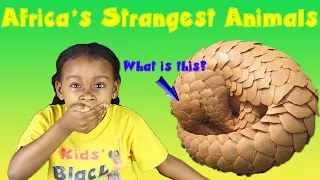 Strangest Animals in Africa | Kids Black History