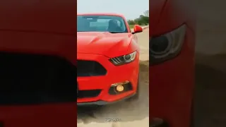 top 5 Mustang Owners of India|Mustang Own करने वाले top 5 भारतीय| #shorts #youtubeshorts #ytshorts
