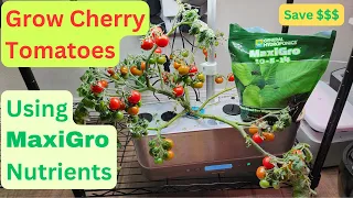 Grow Cherry Tomatoes using MaxiGro nutrients, in Aerogarden Harvest Hydroponics System, No Cal-Mag