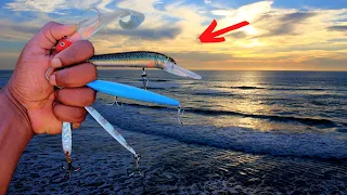 FISH ON .! FISH ON.! use this Lures in Beach Fishing You will never Disappoint..