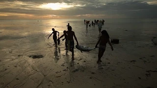 Monster Boats - Kiribati