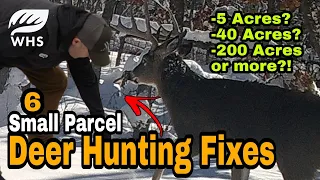6 Tips For Fixing Small Deer Hunting Parcels