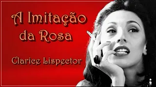 Os Segredos de 'A Imitação da Rosa' de Clarice Lispector.