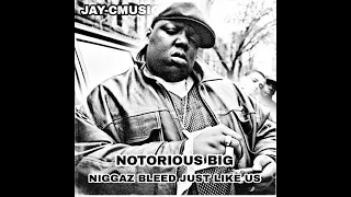 NIGGAZ BLEED JUST LIKE US JAY-CMUSIC