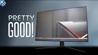 MSI Optix G242 Monitor Review - Hard to dislike