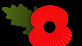 POPPY GAME INSULT TO OUR WAR DEAD
