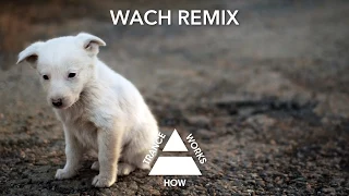Philippe El Sisi & Abstract Vision ft. Jilliana Danise - This Time (Wach Remix)