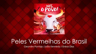 15 - Peles Vermelhas do Brasil (Geandro Pantoja/João Kennedy/ Enéas Dias)