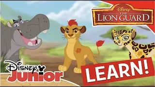 Learning the Animals 🦁| The Lion Guard | Disney Channel Africa