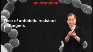 Bacterial vs. viral pathogens - Lucy Shapiro (Stanford)