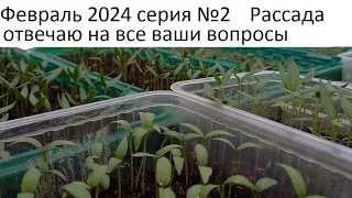 Февраль 2024 №2. Дела тепличные - рассада. Прогулка по летнему огороду.