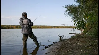 Спиннинг на Оке с берега. Поклёвки в ПРЯМОМ ЭФИРЕ. Ловля щуки на ДЖИГ ОСЕНЬЮ.