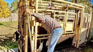 A Day On A South Dakota Cattle Ranch!