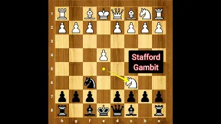 Stafford Gambit trap incoming 🔥🔥 Be Aware 🧐🧐