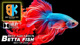 8K HDR 60fps Dolby Vision | The Best Aquarium for Relaxation🐳Relaxing Music with Video Betta Fish 8K