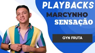PLAYBACKS MARCYNHO SENSAÇÃO PISEIRO 2023
