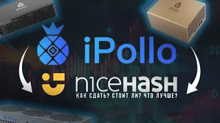 КАК НАСТРОИТЬ IPOLLO НА NICEHASH || ДОХОДНОСТЬ IPOLLO V1H NICEHASH