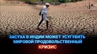 Засуха в Индии может усугубить мировой продовольственный кризис