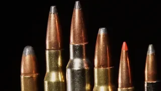 Hunting Calibers: Which One is the Best?