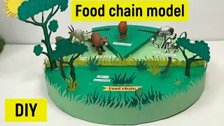 Food chain | Food chain model for science exhibition | Science fair model | Food chain model making