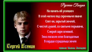 У могилы —Сергей Есенин — читает Павел Беседин