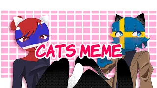 CATS meme || Countryhumans, Sweden x Thailand
